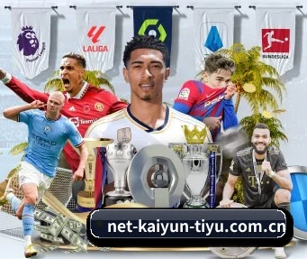 net-kaiyun-tiyu.com.cn APP
