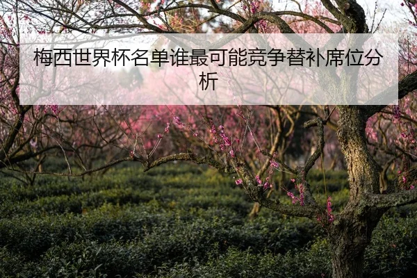 梅西世界杯名单谁最可能竞争替补席位分析